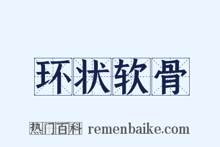 环状软骨是什么意思的图片